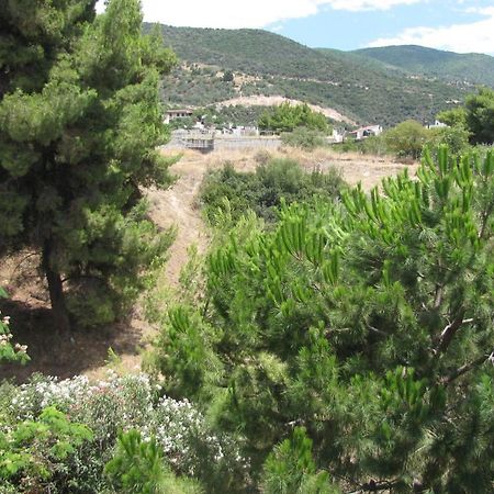 Aiolos Loutra Edipsou  Bagian luar foto