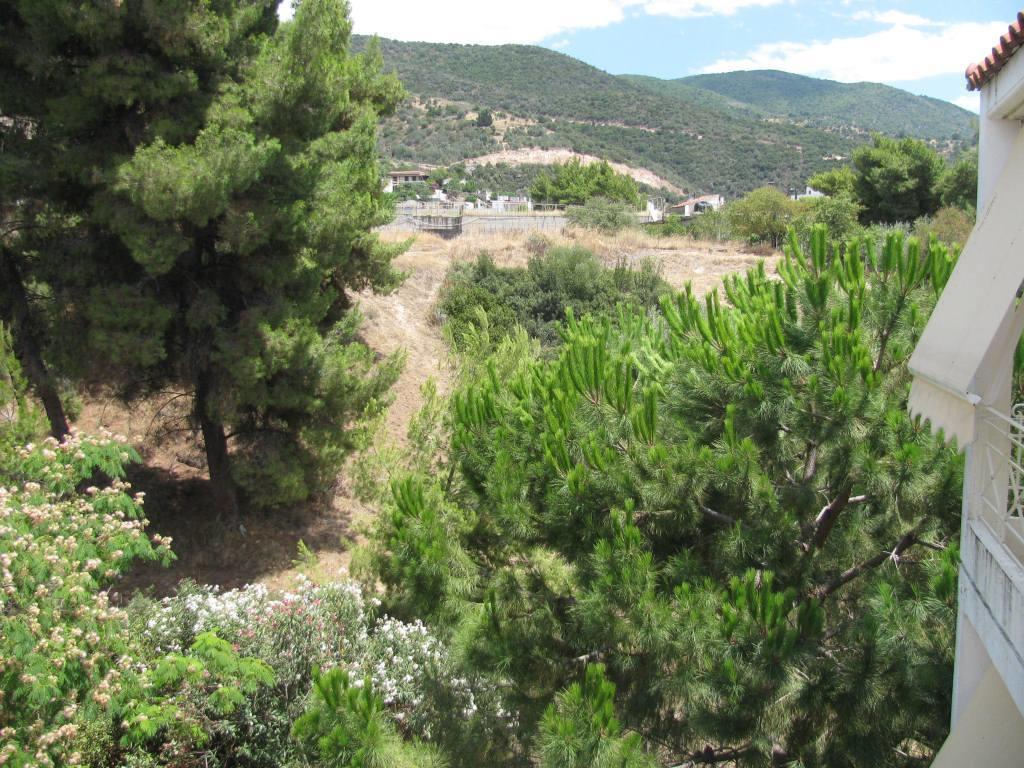 Aiolos Loutra Edipsou  Bagian luar foto